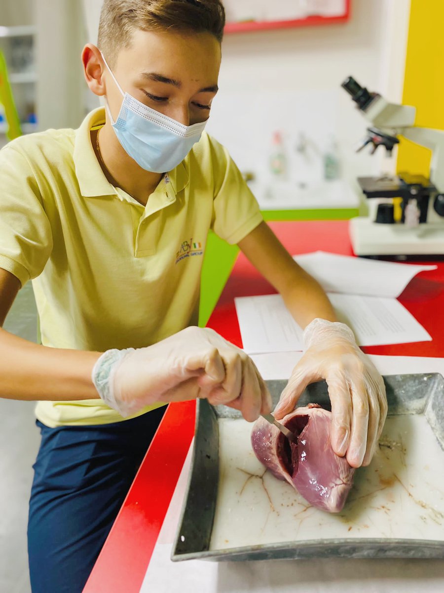 ColegioBristol's tweet photo. To the lab 🥼🔬! Los alumnos de 3º de la ESO se ponen manos a la obra en el laboratorio durante la clase de Biología diseccionando un corazón ♥️. Todas las fotos en fototeca 📷. https://t.co/TlAhD4JkKQ #lab #labpractice #science #laboratorio #ciencia #biologia https://t.co/SX6oN0u1it