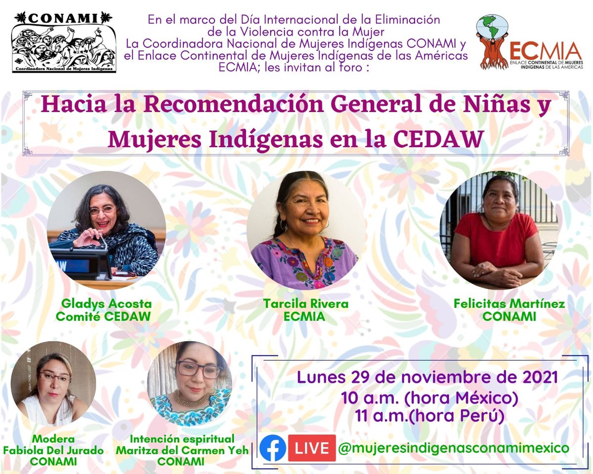 #Hoy Foro: Hacia la Recomendación General de Niñas y Mujeres Indígenas en la #CEDAW, a las 10hrs, les esperamos. #MujeresIndigenas #NuestrasVidasSiImportan 💜