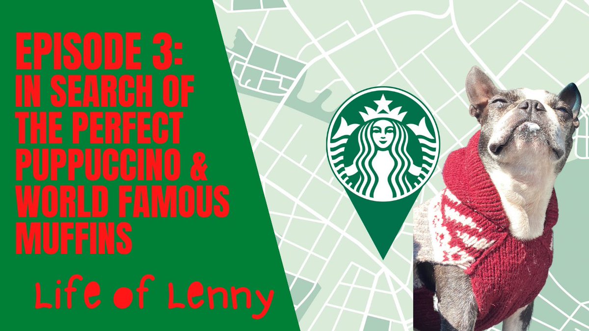 LennyTheBoston's tweet photo. https://t.co/a3K31QeDNq https://t.co/62W4aJjM9C