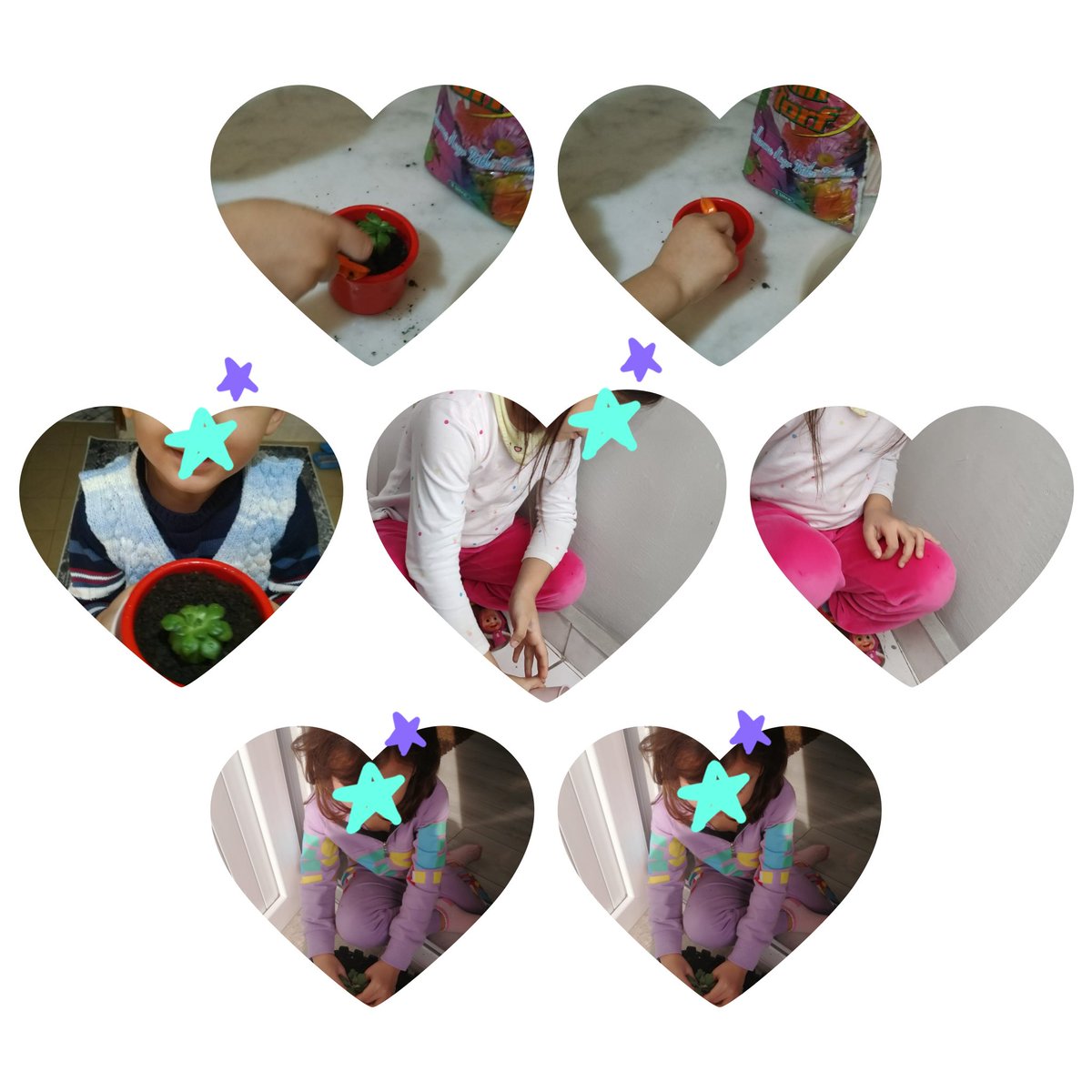 OrmanOkulum's tweet photo. Belediye Ortaokulu Anasınıfı
Bitki ekme çalışmamız...#etwiningtürkiye#samsunmem#myforest school#ormanokulum https://t.co/RrWPgEiEXF