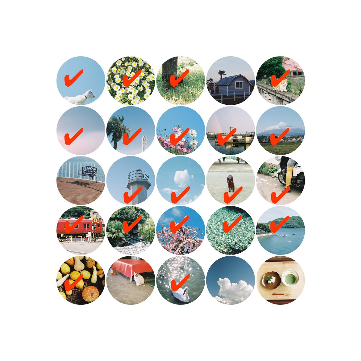 hachinft's tweet photo. 50作品限定の写真コレクション
「hachiphotograph Round  Series」

最終的に全ての写真をまとめた１つの作品になって完成する予定です。

チェクは既に一時販売済みです。ぜひ見に来てください！

▶︎ https://t.co/DGb1VVO9tM https://t.co/MzSZieLtUW
