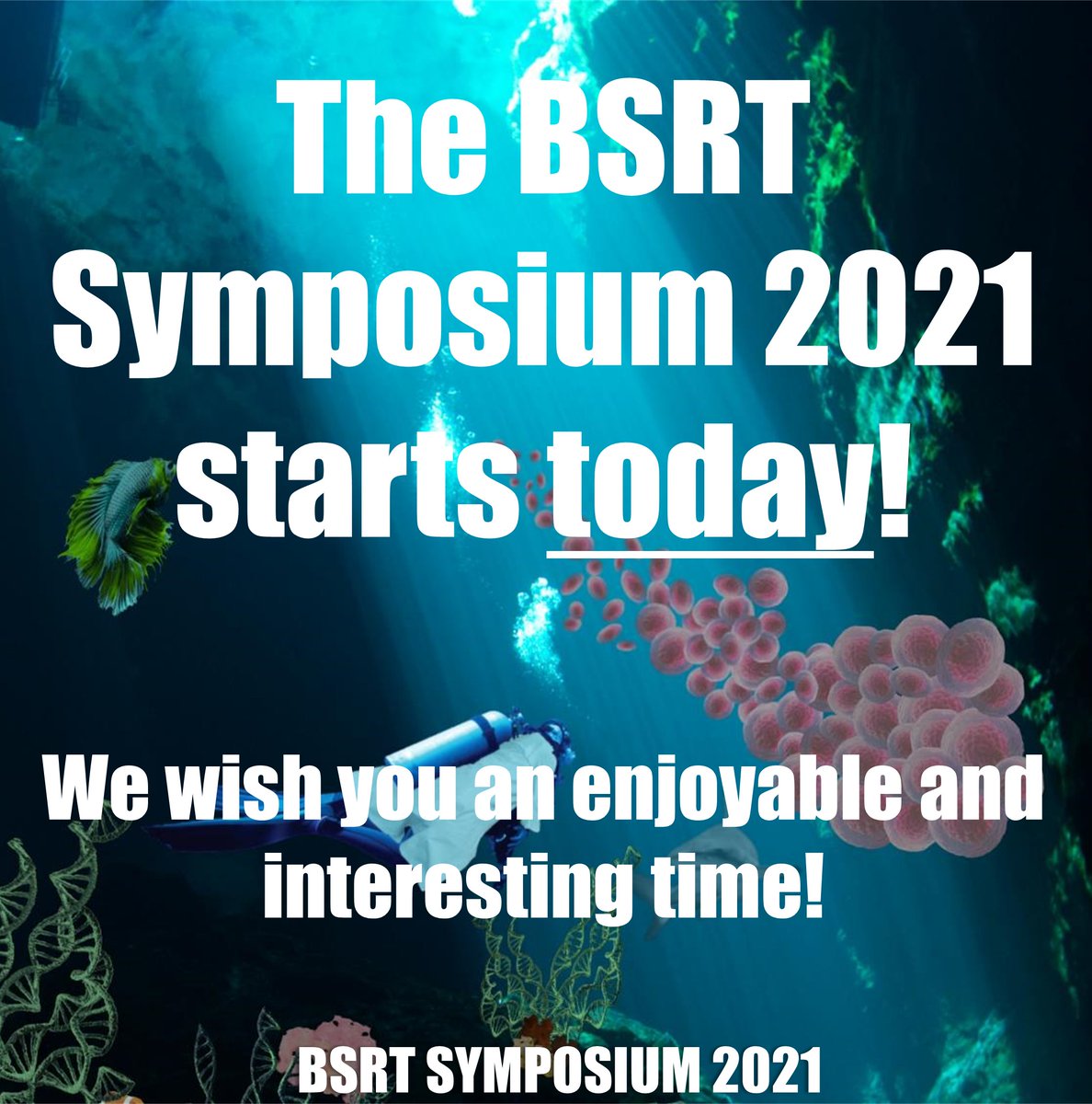 BSRT Symposium tweet media