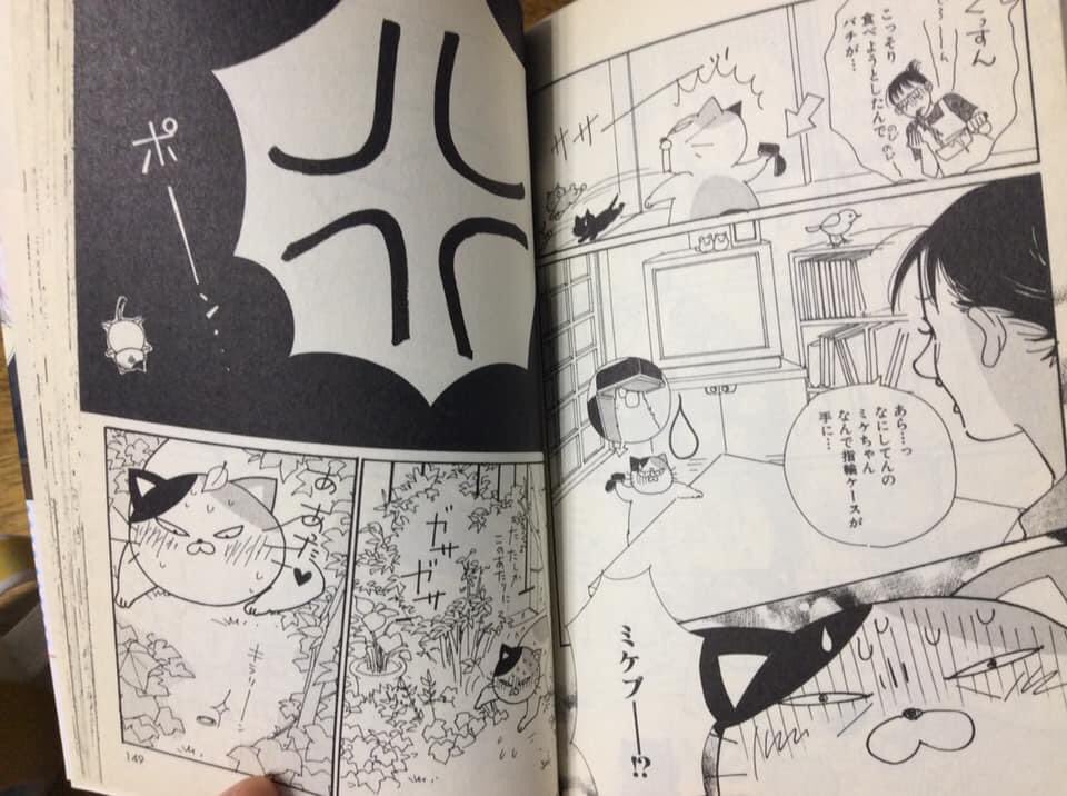 ねこ展参加前には数十年間ねこ描いた事ないと思ってたが、
めちゃくちゃたくさん描いてたやん!!!🤣(漫画だけど)

#がんこちゃん「峰岸家の伝説」 