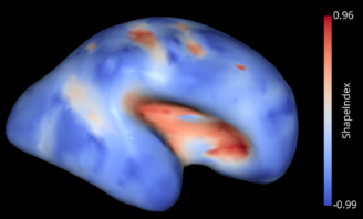 New project #7 🧠: "Development of the SLAM -Surface anaLysis And Modeling- python package" by @AlexandrePron, <a href="/AuziasGuillaume/">guillaume Auzias</a> and the <a href="/meca_brain/">MeCA research group</a> team. Checkout the full description of the project : brainhack-marseille.github.io/#project7