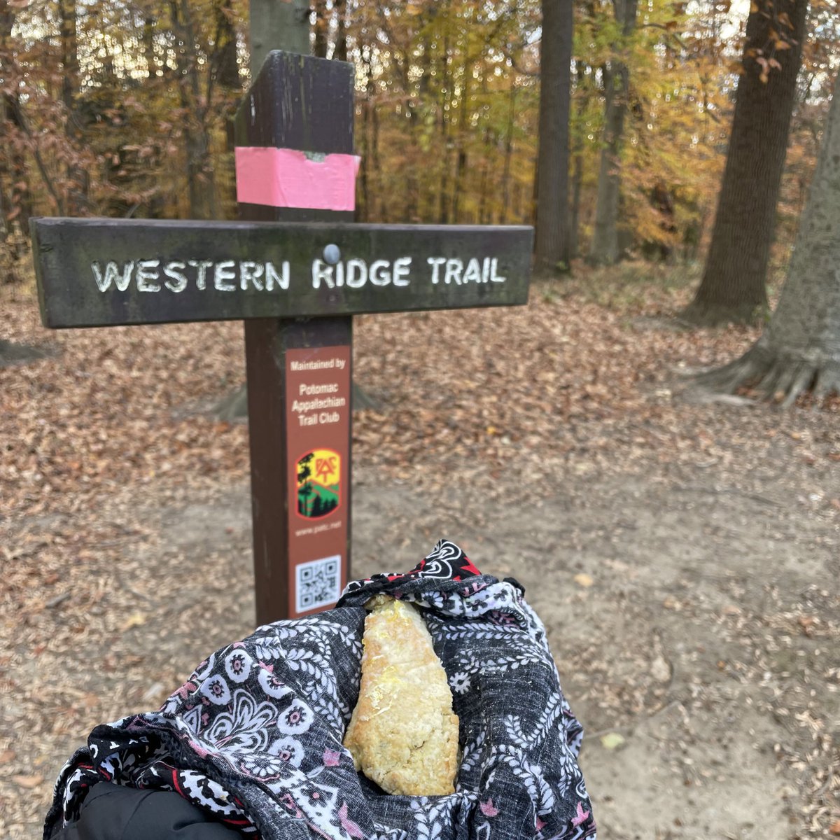 hatchdw's tweet photo. What’s bringing you #FallJoy? I ❤️ a chilly day + #WesternRidgeTrail #RockCreekPark + homemade scones! #AtHomeBaking #Nature #OptOutside #WeekendVibe https://t.co/IcJBas8Jek