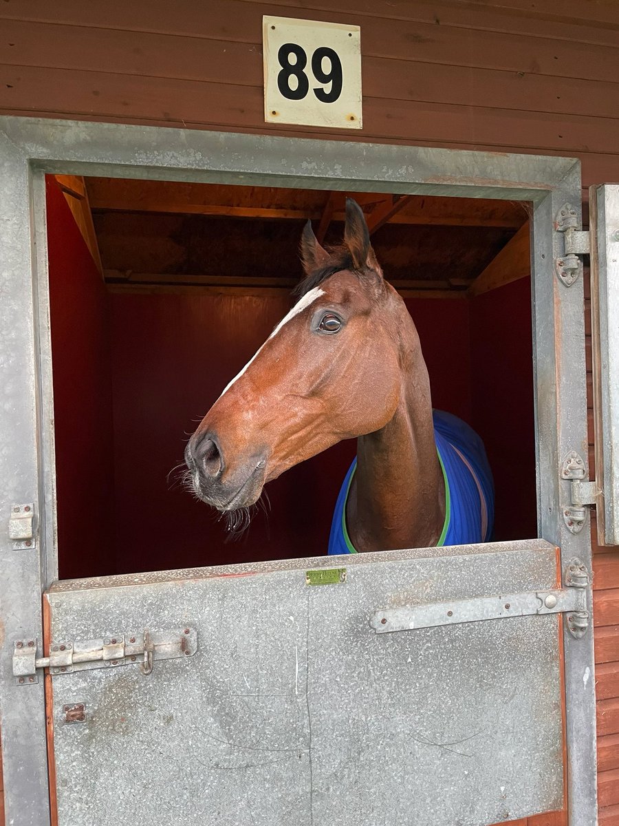 Dialadistance's tweet photo. How much is a share in the syndicate?       Keeper Chris- 5%- £60 a month                Definate Warrior- 5%-£75 a month           Both prices include all training and racing fees https://t.co/4O8Lw5b3b2