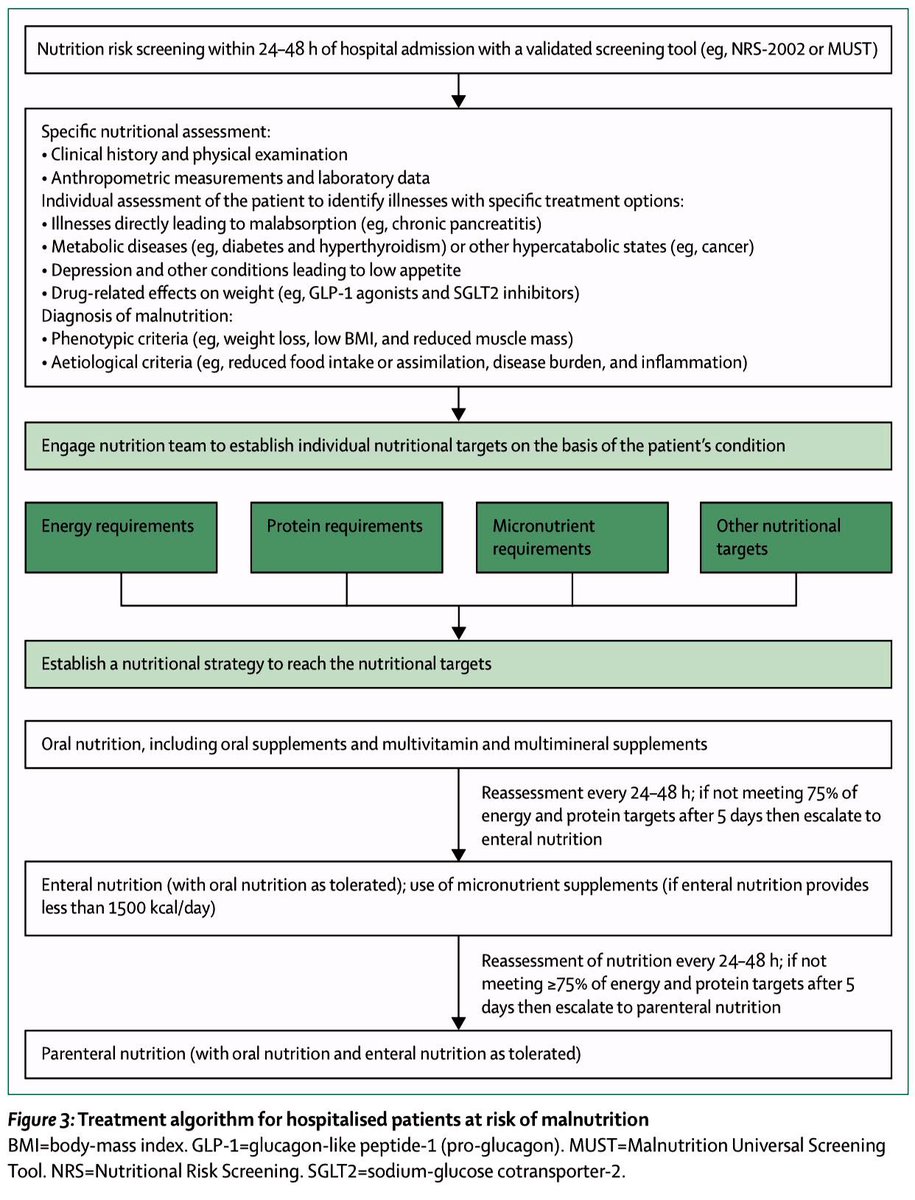 Paul_Wischmeyer's tweet photo. 💡Screening, diagnosis &amp; management of MALNUTRITION  in hospitalised patients #MedEd 
#Nutrition 

Must read new review in @TheLancet 

https://t.co/vuB17PmZMG https://t.co/OnME4cK3gP