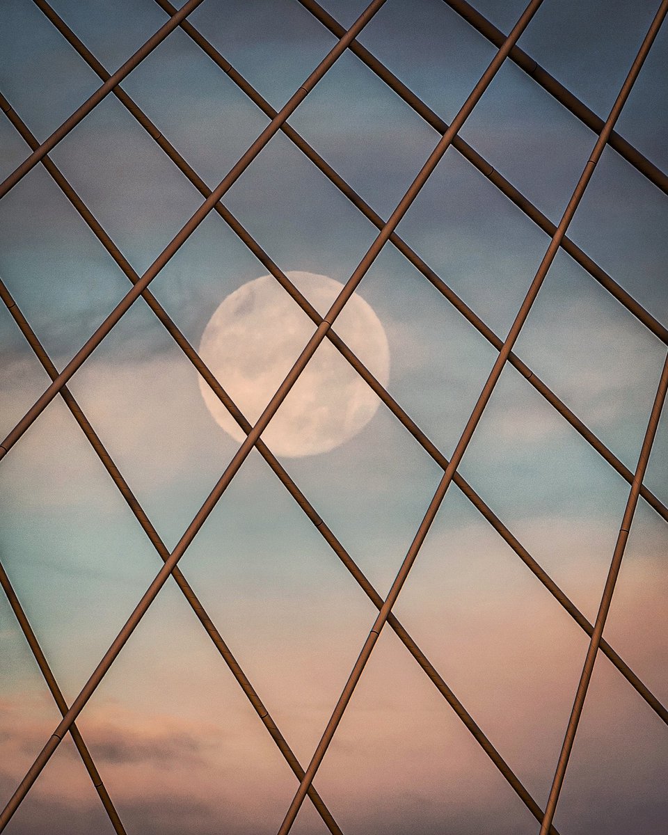 pas812's tweet photo. The full moon caught in Lincoln’s web …
#OneKentucky #FullMoon https://t.co/I8S8Pt2fxN