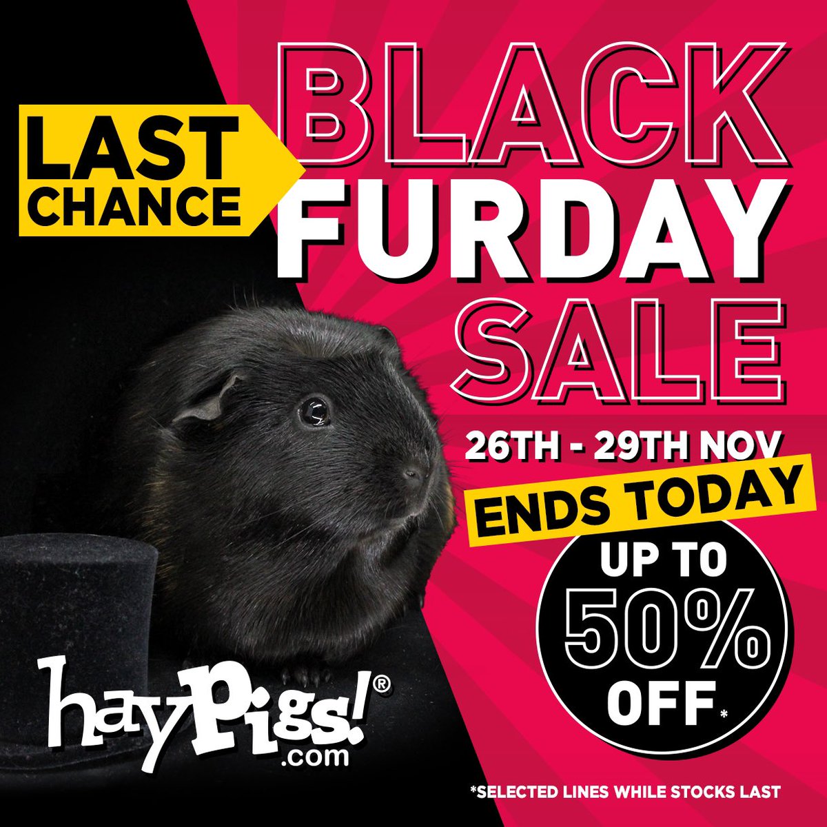 haypigs's tweet photo. ๐น๐๐ค LAST CHANCE! Our Black Furday Sale ends at midnight tonight! For up to 50% off selected lines head over to https://t.co/JB7jZb68HR ๐ Thanks peeps! ๐น๐๐ป #blackfurday #guineapig #rabbit #smallanimal #toys #treats #blackfriday #cybermonday https://t.co/W1GYJszkGo