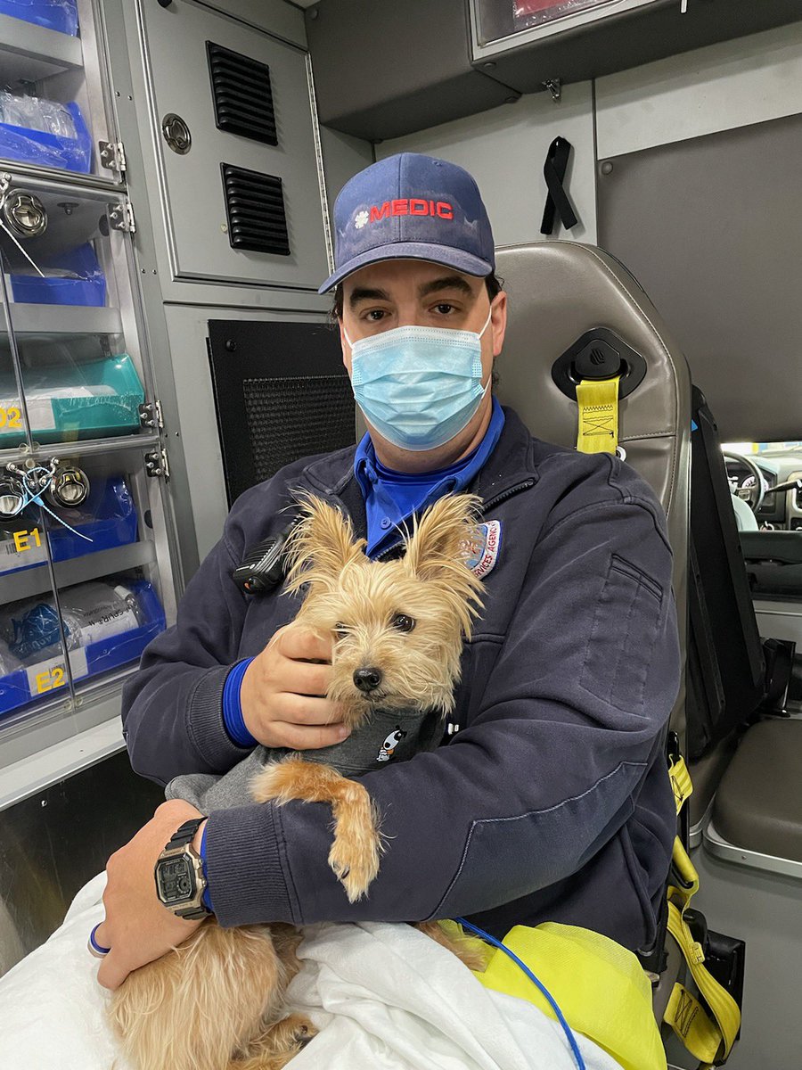 MecklenburgEMS's tweet photo. Here’s a picture to cure your Monday morning blues. Paramedic Cordes recently provided care to a patient who was traveling through our area and had no place to leave her four legged partner. #medic911 #medicstrong #EmsLife #joinmedic https://t.co/aqmqD15osY