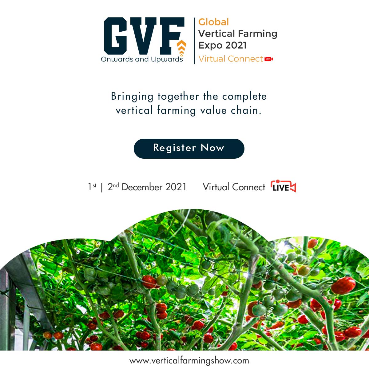 We are proud to be a supporting partner of the Global Vertical Farming Expo 2021 and really looking forward to the event this week! verticalfarmingshow.com

#verticalfarming #hydroponics #farming #sustainability #food #aquaponics #aeroponics #urbanfarming