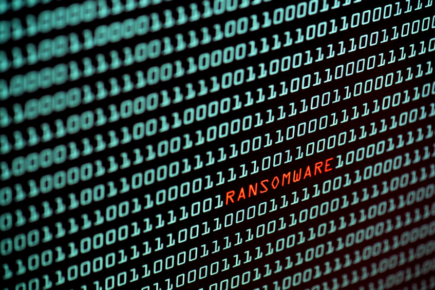 LanoixInsurance's tweet image. Nearly three-quarters of all ransomware attacks target small businesses. Does your company have a ransomware plan? uschamber.com/co/run/technol…