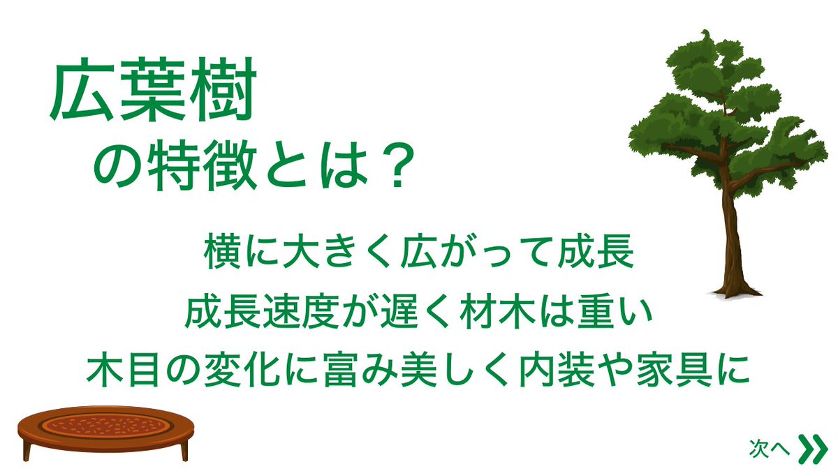 moricrew's tweet photo. 【広葉樹について】
木の種類で針葉樹ともう一つの種類はなんでしたか😲❓

答えは
「広葉樹」です👍

今度は広葉樹の特徴について見ていきましょう🌳

針葉樹より知らない木の名前が多いような気がします... https://t.co/HaLHMaDMCU