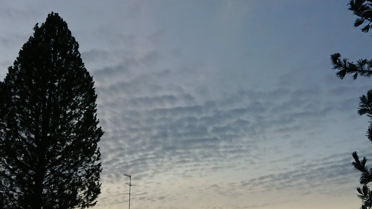 vsammy_poet's tweet image. #Hienoja #pumpuli #pilviä.. 👀