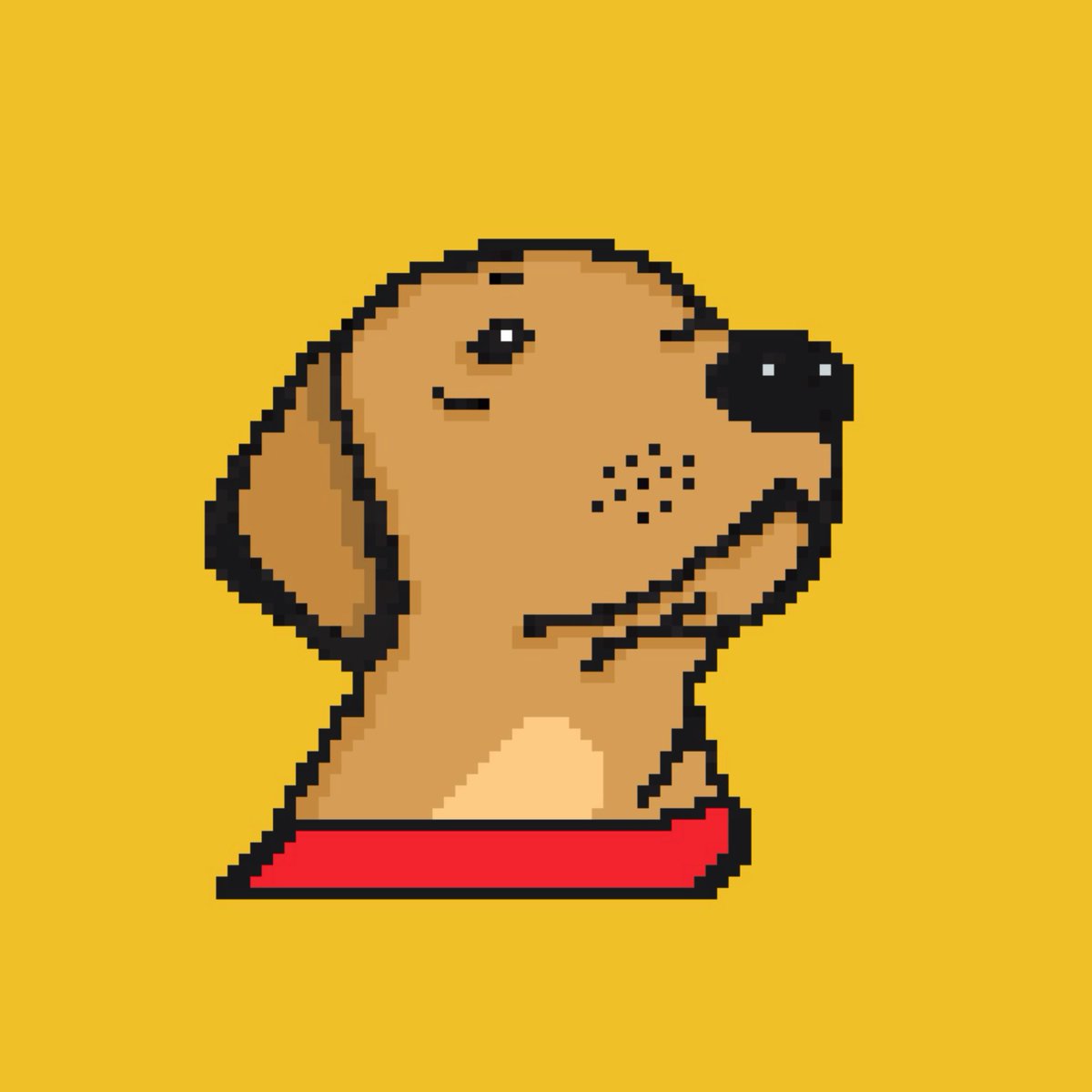 dramatic_wolfy's tweet photo. (1/3)

Okay here’s my attempt at #SimpleArt @SimplesNFT - I will be submitting 3 artworks for this

It is from my personal maiden collection @CryptoPuppyClub! A series designed around Puppies created using the classic Pixel Art format (inspired by CryptoPunks 👾)

Ollie #CPC001 https://t.co/fywIGDl494