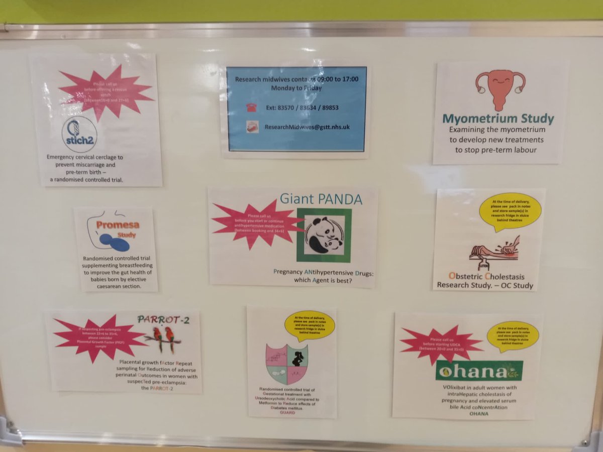cathrynannmarsh's tweet photo. The fantastic Delphine Strub and Research Midwives & Research Assistants at St Thomas’ just updated our info board on the Labour ward. So proud of what we are able to achieve even in a Pandemic @GSTTresearch @tommys @GSTTnhs https://t.co/HDAFa9frbI