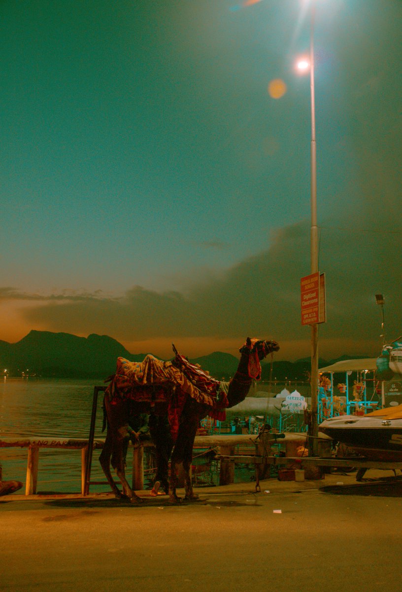 Voyagers of sunsets and seas

I minted one of my favorite photograph I took on @withFND 

foundation.app/@ashmitgalav/~…