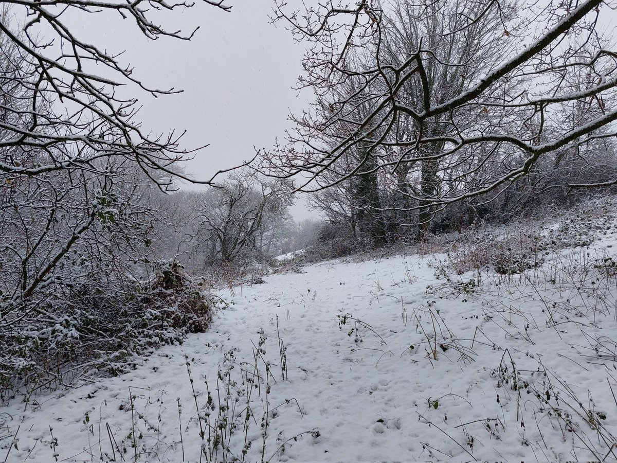 Darryll Robson tweet media