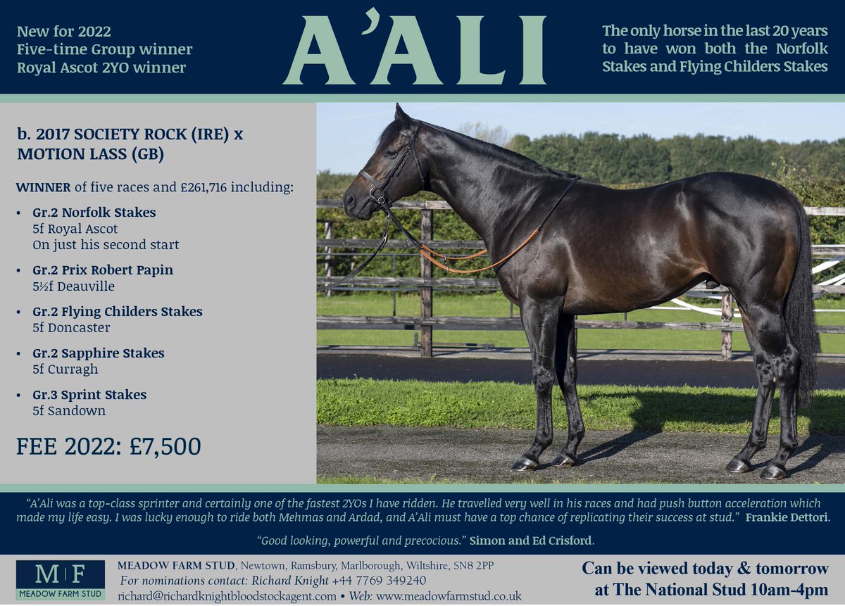 A'ALI 👉 New for 2022 @Meadowfarmstud 🏆 Five-time Group winner 🥇 Royal Ascot 2yo winner 🐴 The only horse in the last 20 years to have won both the Norfolk Stakes & Flying Childers Stakes FEE 2022: £7,500 Can be viewed from today until 2nd of December at The National Stud!