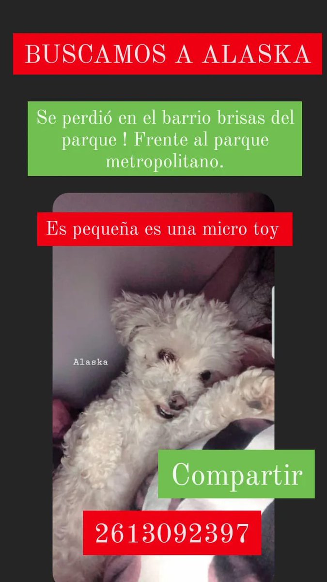 julietaaguer's tweet photo. https://t.co/VvU7ulT3Ip
