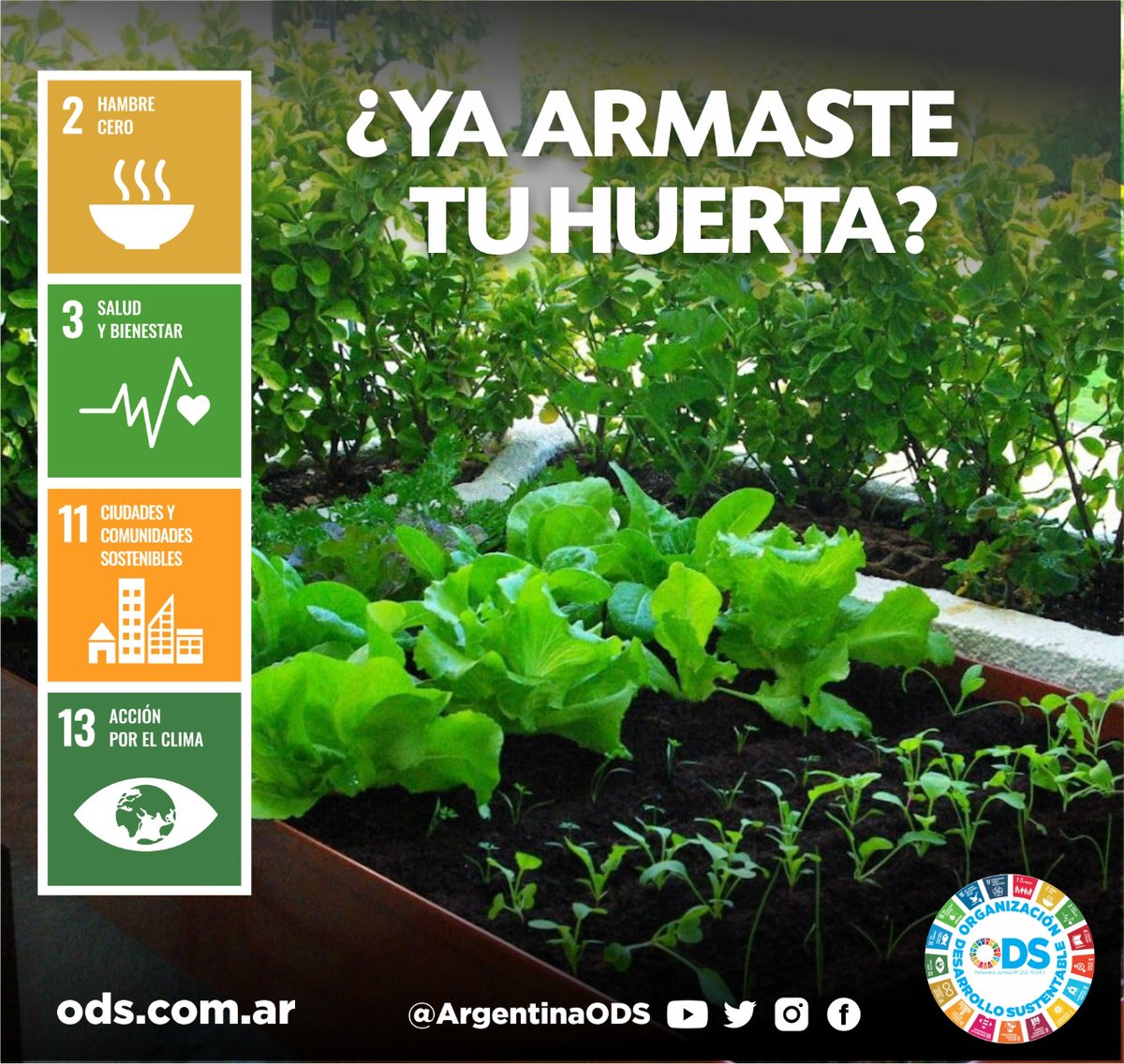 OficinaOds's tweet photo. 👉 Desde @ArgentinaOds a través de nuestro #ProgramaABC para el #DesarrolloSostenible, promovemos la #AlimentaciónSaludable mediante el armado de #HuertasEnCasa
🥕Si estás pensando en armar tu #huerta, te invitamos a leer este informe
🔽
https://t.co/HcedSORimE https://t.co/fhgEOe2HHI