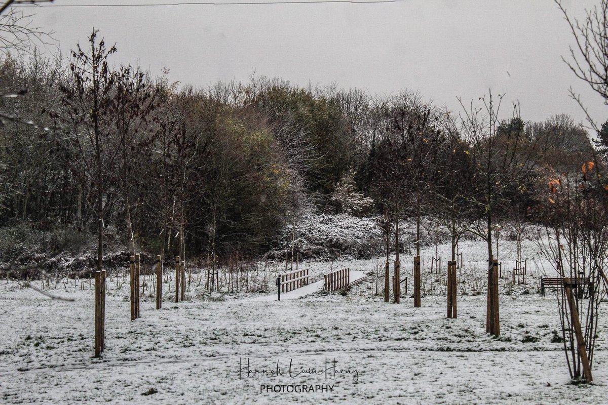 LoveSolihull's tweet photo. How magical is the Armed Forces Community Garden in the snow?

Images by: Hannah Harvey  

#PlantingOurFuture #ArmedForcesCommunityGarden #PlantingForOurFuture #NationalTreeWeek #photography #Solihull #NationalTreeWeek https://t.co/zTOfuf7cYn
