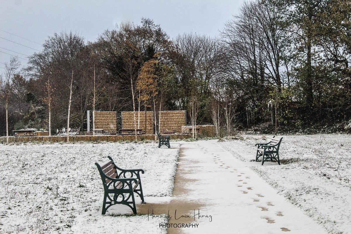 LoveSolihull's tweet photo. How magical is the Armed Forces Community Garden in the snow?

Images by: Hannah Harvey  

#PlantingOurFuture #ArmedForcesCommunityGarden #PlantingForOurFuture #NationalTreeWeek #photography #Solihull #NationalTreeWeek https://t.co/zTOfuf7cYn