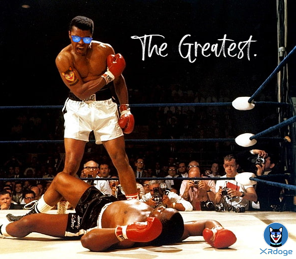 CreateTheDots's tweet photo. #XRDOGE floats like a #meme and stings like a #utility.
- Lightning speed jab 🥊
- #Gas-free right cross 🥊
- #Payment portal left hook to the body 🥊
- #Decentralized #exchange KNOCKOUT 🥊💥

...and still training every day, waiting to unleash new techniques at any time.

#XRP https://t.co/b1LQBLGdQW