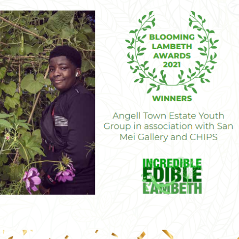 chipspeaceorg's tweet photo. BREAKING NEWS! The Herbarium Project has won an award for 'Most Imaginative Growing space in Public View' from Lambeth Incredible Edible! We are SO proud of everyone involved and the effort each young person put into making the project such a success. #Brixton #PlantingForPeace https://t.co/3yCxIDi2lE