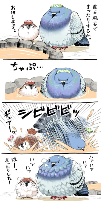 まったりするハト先輩とスズメくん 