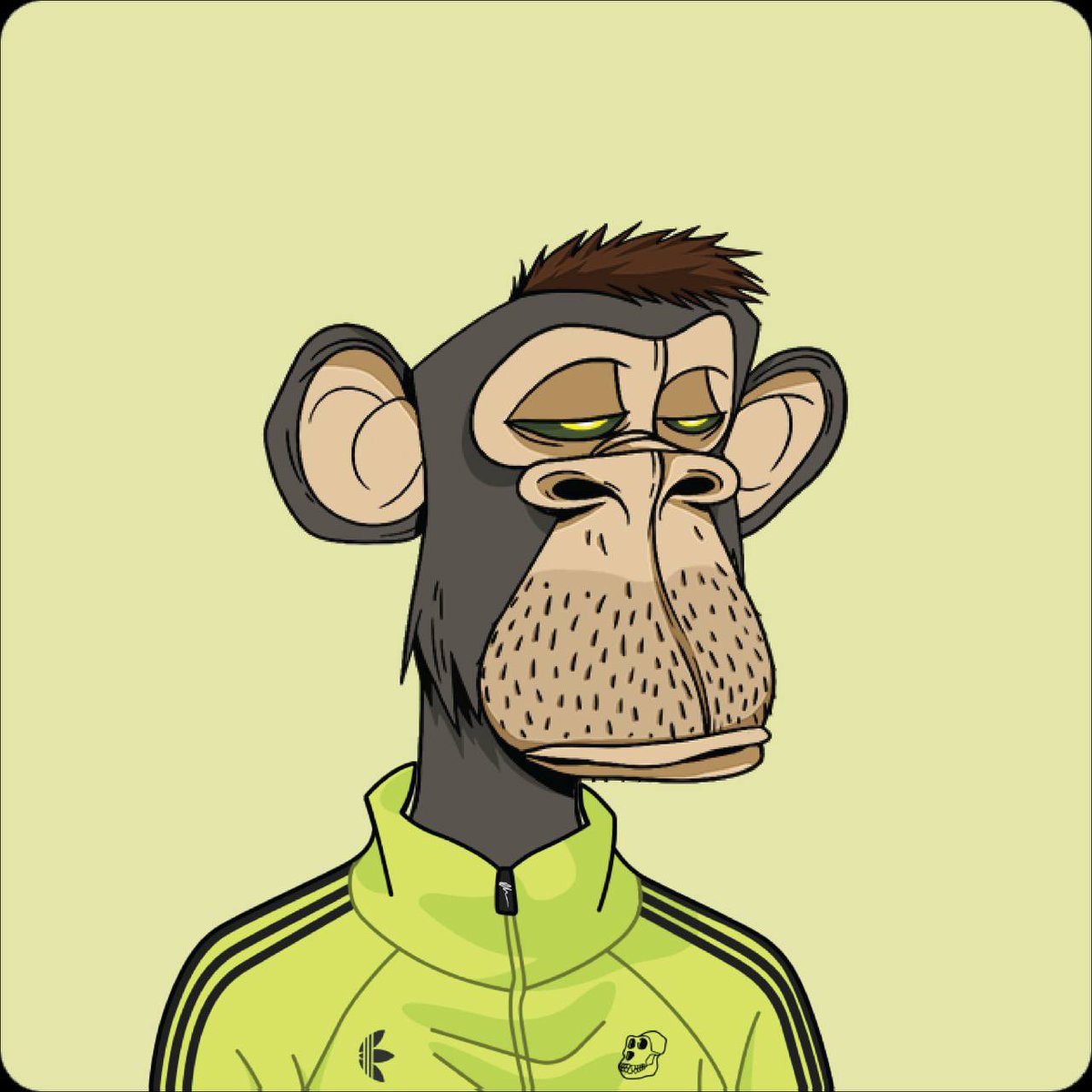 0xMetaWalker's tweet photo. gm ☀️ going on a run with my /// tracksuit today https://t.co/0LApE1T8sd