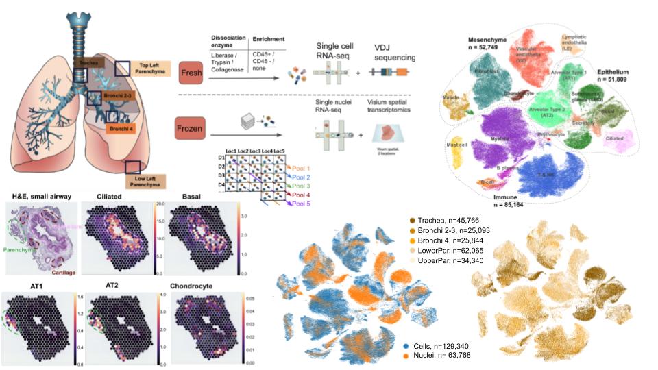 Elo Madissoon tweet media