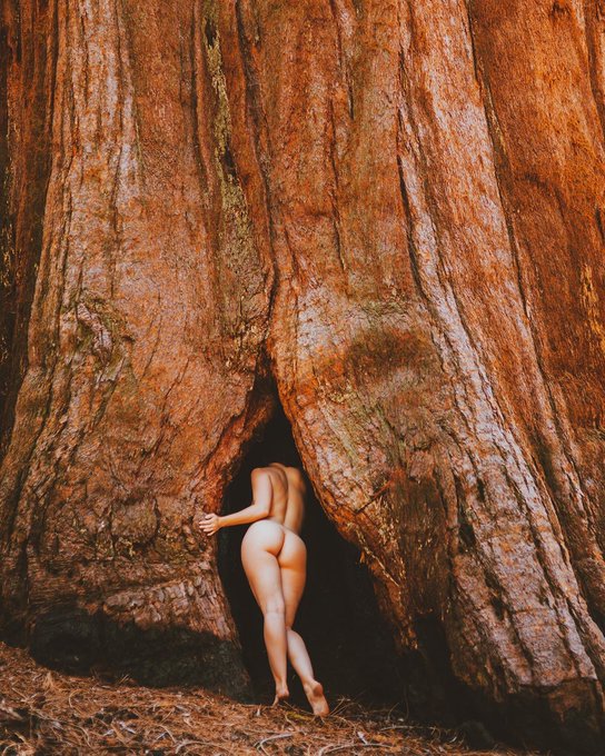 Always in the trees! 🌿🌿  📷 by @CorwinPrescott https://t.co/n8sYJojlJB<a class="tags" href="/tag/corwinprescott">@corwinprescott</a>