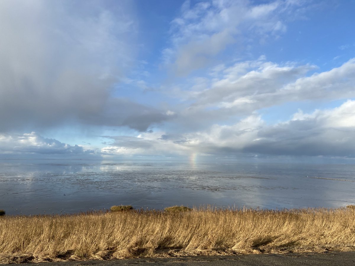 Tjalling R. Boonstra tweet media