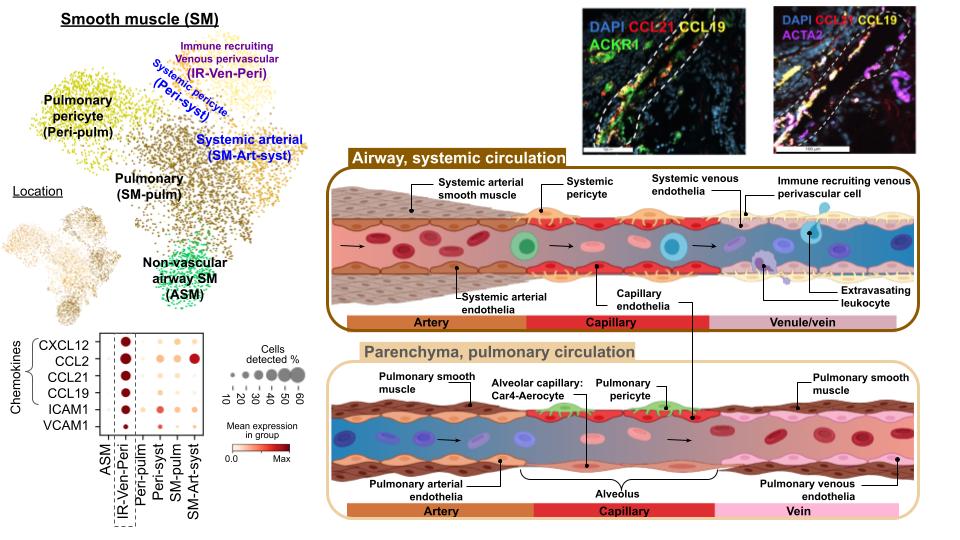 Elo Madissoon tweet media