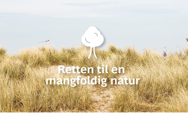 grongrundlov's tweet photo. Miljø, natur og klima er et grundlovs-anliggende. 

Derfor ønsker vi en #GrønGrundlov. 

En Grøn Grundlov er en generationskontrakt, der kan blive den røde tråd i Danmarks grønne omstilling.

Vil du vide mere? 
Så læs her: https://t.co/IaHzeMDrTr https://t.co/PN1GXkHMIs