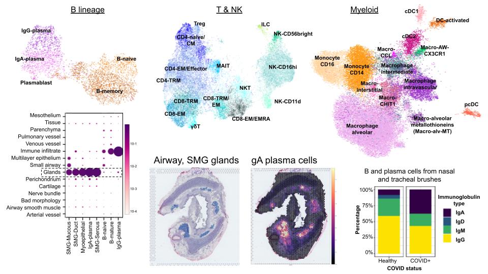 Elo Madissoon tweet media
