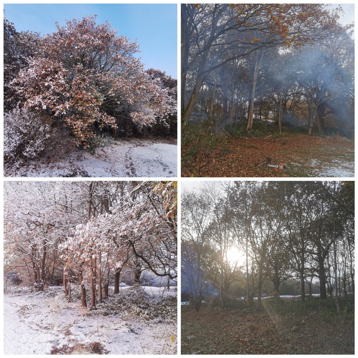 A day thinning out the trees to the back of 18 green we'll continue with this area over the winter and others around the course to help improve light and air flow around the course.