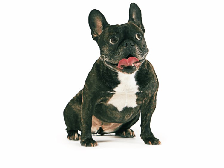 defidotoken's tweet photo. I am the original meme coin of #Coinbase don't you ever forget that! #WeAreDeFido
$DEFIDO 🐶🦴 https://t.co/WnVLmieeyr