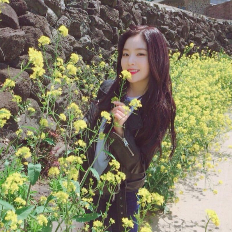 irene pics tweet media