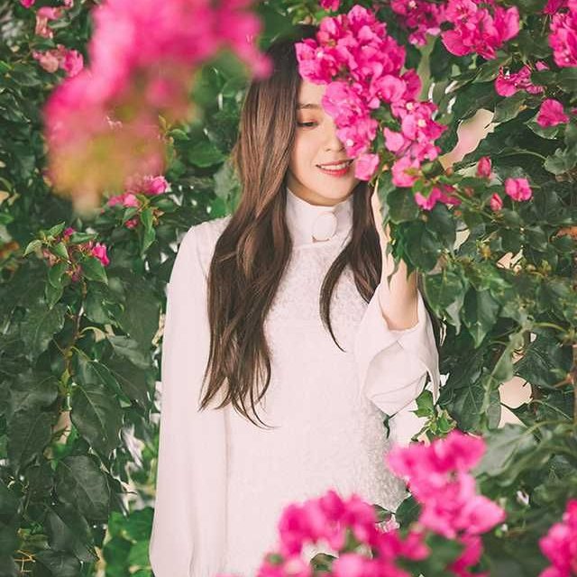 irene pics tweet media