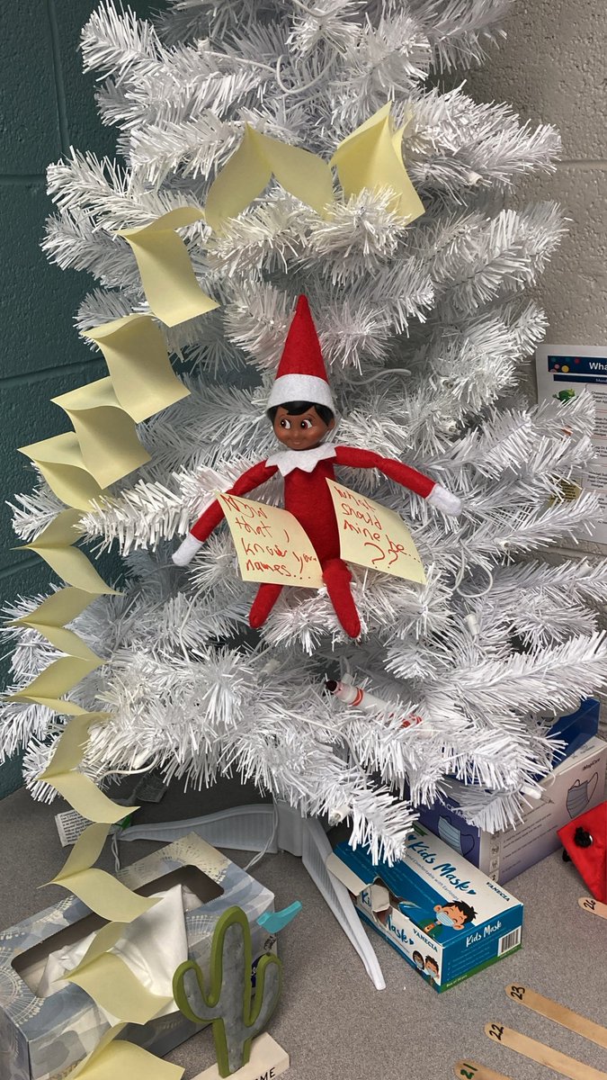 MissFinn tweet media