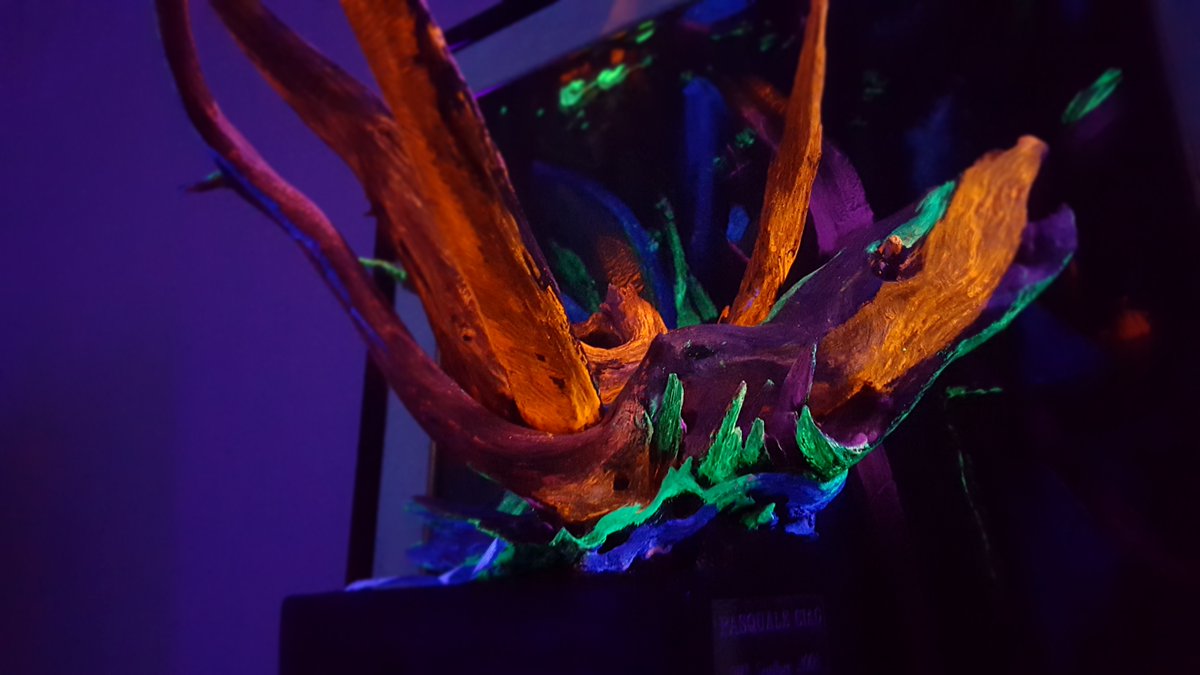 Un #sabato sera al <a href="/Museo_Eboli/">MuseoArcheologicoNazionaleEboli</a> e dintorni, nonostante... 🌧️⛈️☔️
✅Convegno sul rapporto tra #paesaggio e sviluppo urbano.🌳🏘️
✅Performance di #danza contemporanea🕺💃
✅Inaugurazione della mostra dello scultore #PasqualeCiao😍
#Enjoy!
#architecture #nature #museum #Dance