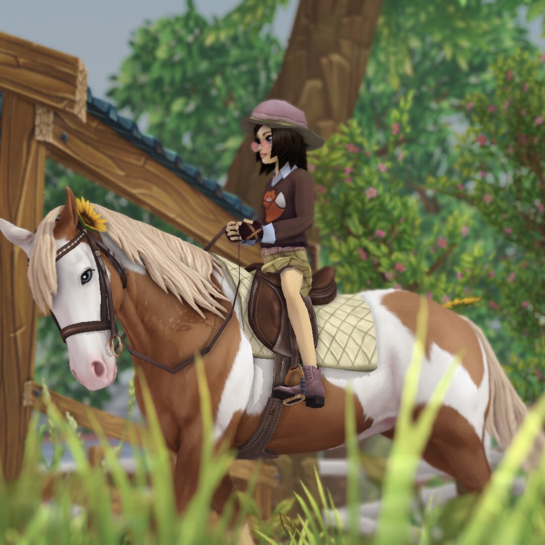 rachiegames's tweet photo. i finally caved and bought a new @StarStable american paint and i got the one from the app !! it’s so cute i’m in love ^-^
#sso #starstable #starstableonline https://t.co/CyA5d6X42O