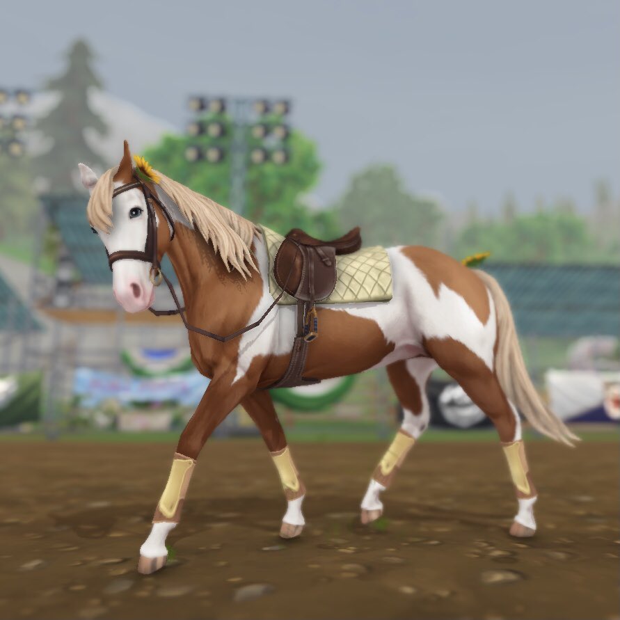 rachiegames's tweet photo. i finally caved and bought a new @StarStable american paint and i got the one from the app !! it’s so cute i’m in love ^-^
#sso #starstable #starstableonline https://t.co/CyA5d6X42O