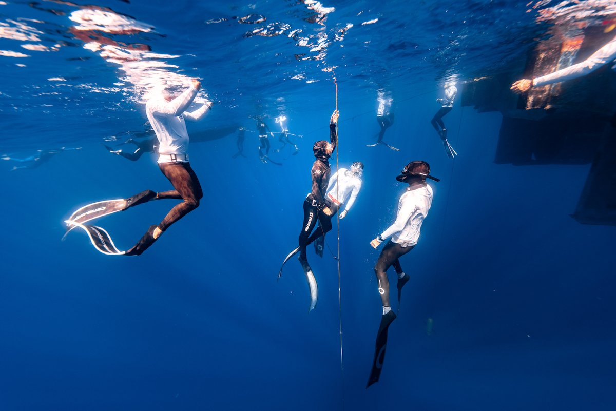 AIDA International tweet media