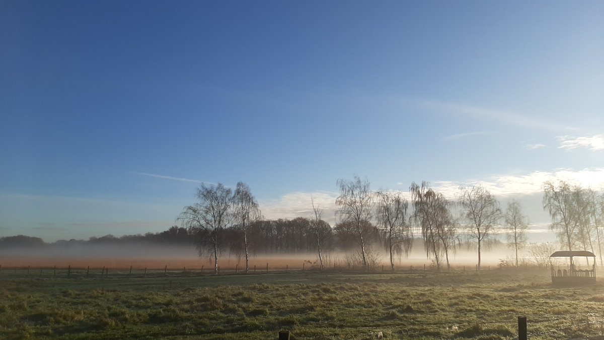 inja5248's tweet photo. #herfstchallenge #mist
#Hingen #MiddenLimburg
@wilma_meijerink https://t.co/45AvoyLNyI