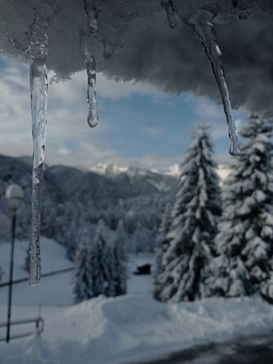 TurismoFVG tweet media