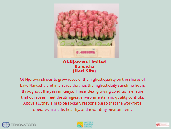 Eenovators's tweet photo. Ol-Njorowa Flowers is located in Naivasha and also grows flowers on large scale. Attached to the site during the #ESCO4Efficiency project was @IrvinKoech 
@WE4FGCD https://t.co/3Fai8z8L8P