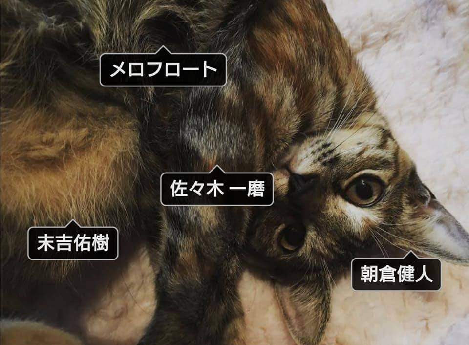 ayu0112music's tweet photo. メロフロ5周年おめでとうの投稿と共に
投稿した写真
#デビプロ #デビュープロジェクト
#bakky #メロフロート #SUNLITE
#ぱんちゆたが #HALMI
#ゴールデンパイン #CHOSHIN https://t.co/TKr6OW7ZCW